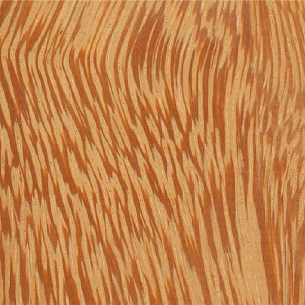 Iroko wood