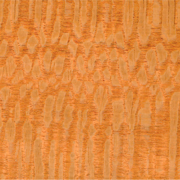 Lace Wood Brazilian Lacewood South American Lacewood wood